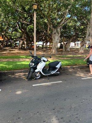 Maui Moped and Scooter rentals