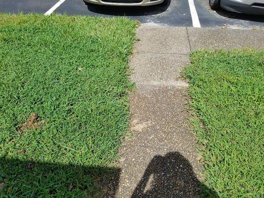 This is the walkway leading to my front door. The overgrowth of grass is a very bad appearance for a place claiming it is a Luxury apartment