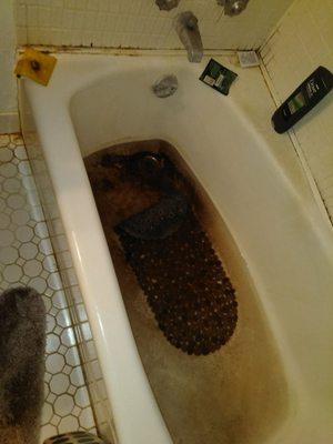 the plumbers are racist Do not use,serviced my neighbors apartment above me and it drained into my tub and they left it for 48 hours