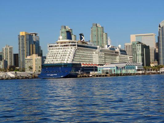 Cruise ship in port