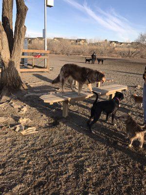 Happy Trails Dog Park