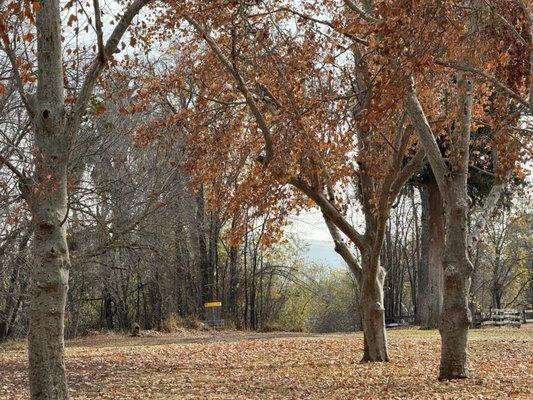 Suicide Flats DGC at Hart Memorial Park