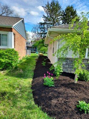 Landscape complete with mulch placement 
After