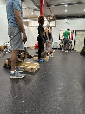 Group class obedience.