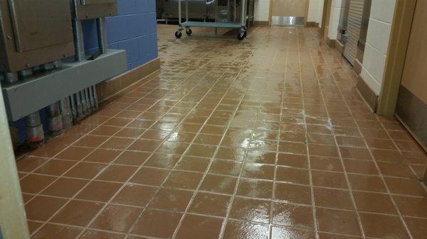 Tile and Grout Cleaning #6