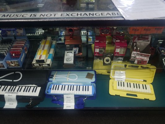 Need a Melodica, metronome, or recorder?