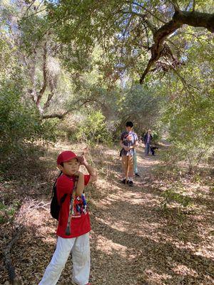 Lots of oak trees for a quick shady hike.