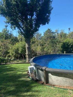 Above ground pool