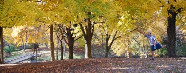 Frisbee Golf at Woodland Park in Collinsville, IL