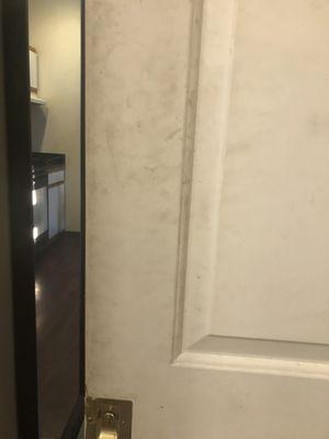 Bathroom door