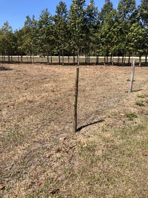 Fence post replacement