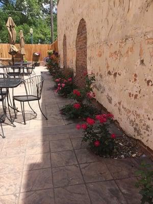 Beautiful patio flowers everywhere and 2 cute conures