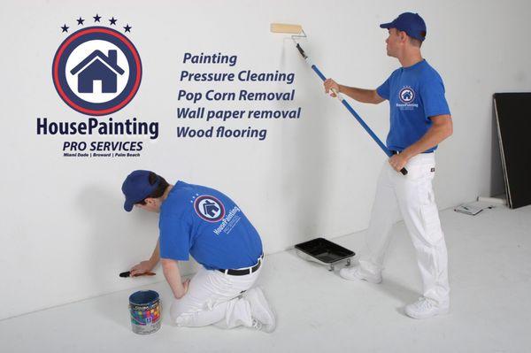 Professional Painter