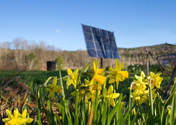 Solar trackers are a cost efficient way to generate green energy