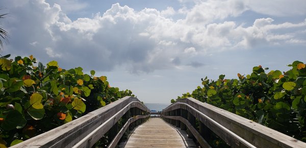 The bridge from the resort