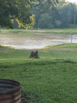 View outside of cabin 8