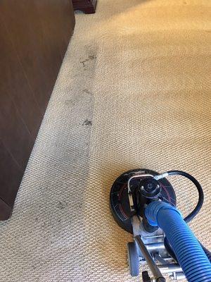 We specialize in carpet restoration!