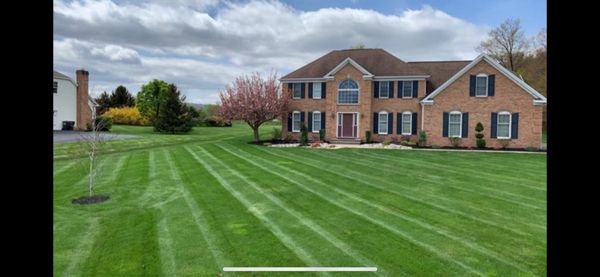 Steve's Lawn Care and Landscaping