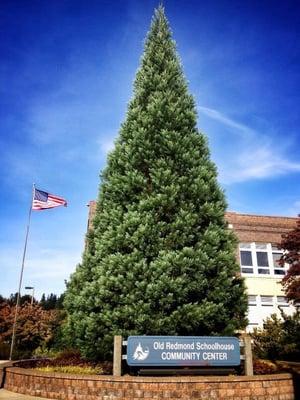 Old Redmond Schoolhouse Community Center