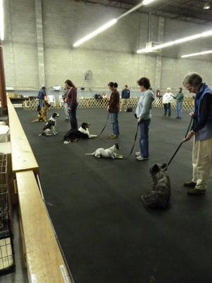 Nashville Dog Training Club