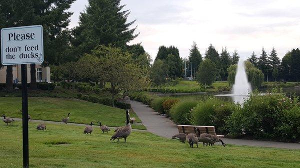 7/12/2018 - There are a lot of touring Canadians in the park.