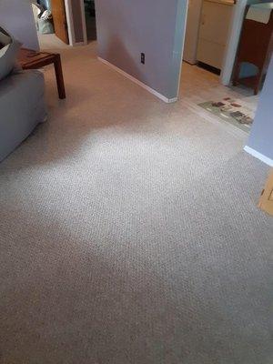 Carpet Cleaning!!!