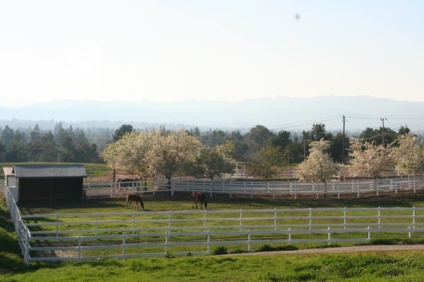 Pastures and Arena