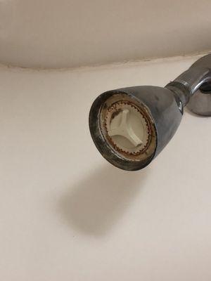 Worse kind of shower head