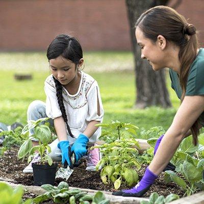 Montessori at The Courtyard