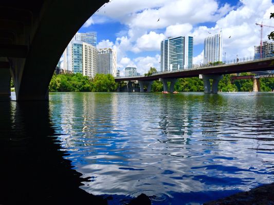 Birds and kayakers from under the bridge.