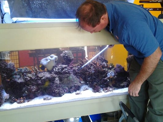 Andrew feeding corals