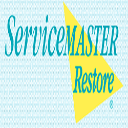 ServiceMaster Of Ottawa & Allegan County