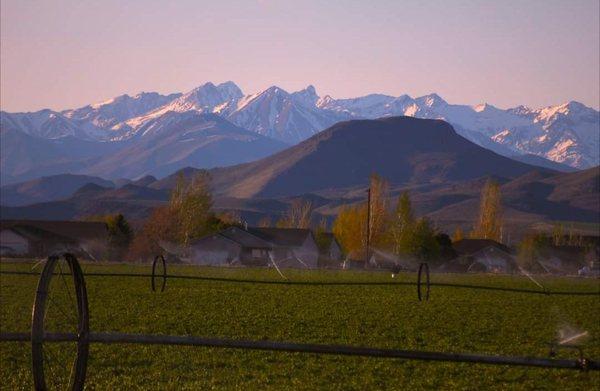 Town of Carey in the foothills of Pioneer Mountains.