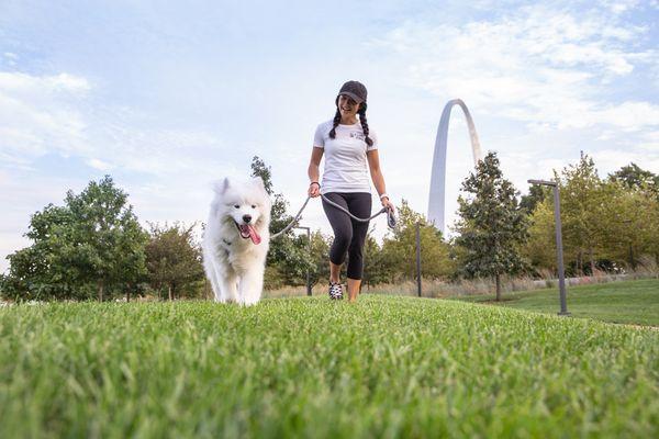 St. Louis' #1 Dog Walking and Pet Sitting Service