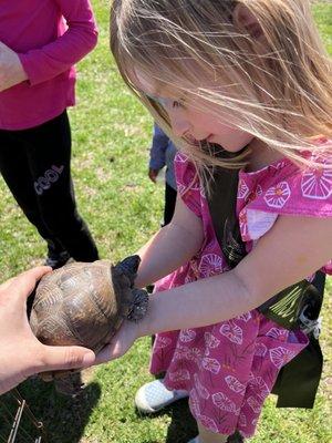 Petting Zoo