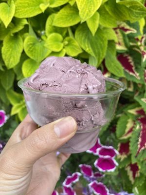 Black raspberry with chocolate chips yogurt