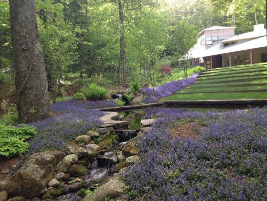 Pond, waterfalls, bog filter, and various formal and informal gardens in Williamstown, MA