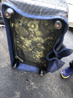 Mold after 8 months in a "temperature controlled unit"