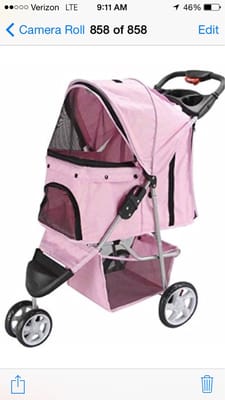 I just saw a very lucky kitty in a rockin pink cat carrier on wheels. It kinda made me feel bad about my grey plastic box.