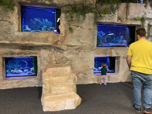 Aquariums in rock displays, reservation building