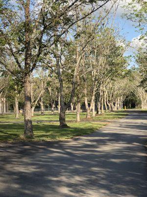 Road leading to Storage units