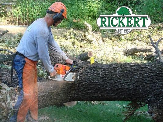 Tree Trimming in Tulsa OK