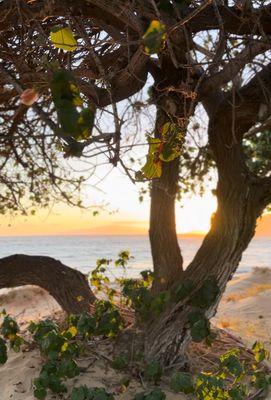 Sunset from our private beach.