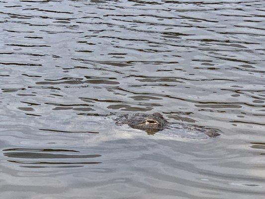 Eufaula National Wildlife Refuge