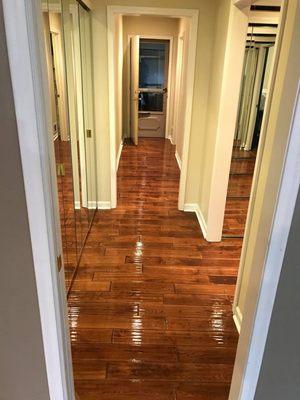 Awesome flooring clean! House Cleaning St Louis