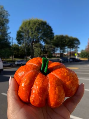 Pumpkin bagel