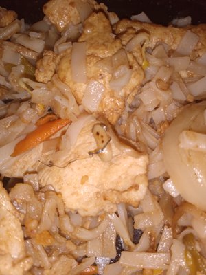 WIRE-LIKE OBJECT in chicken pad thai.