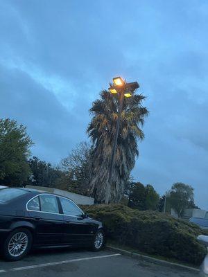 Shopping Center Lighting