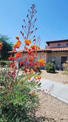 Barton House Memory Care | Scottsdale, AZ | Exterior