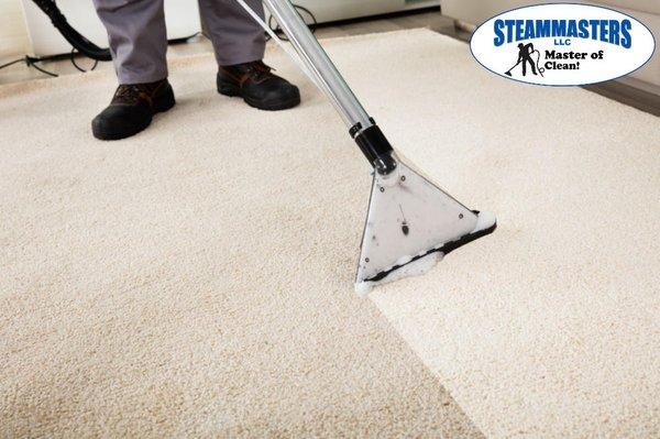 steam masters carpet upholstery cleaning company